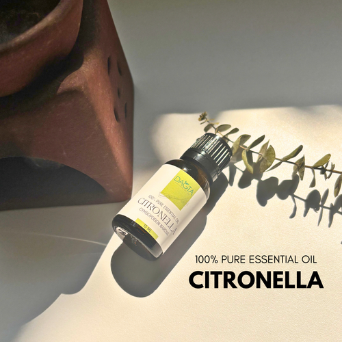 100% Pure Citronella Essential Oil - DAGTA 🇵🇭